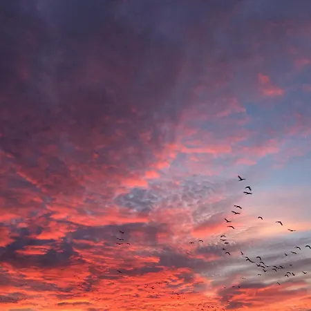 Tief 10 Diekwacht 202 Διαμέρισμα *